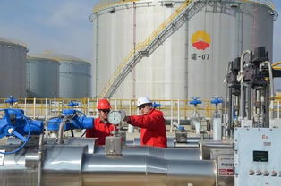 AR技術(shù)在管道線路巡檢中的應(yīng)用與管道安裝技術(shù)咨詢