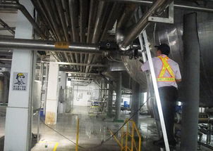 迪奈美 成功解決食品行業(yè)啤酒廠鍋爐管道結(jié)垢腐蝕異味問題